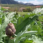 Terre Di Paestum 住宿加早餐酒店 3*
