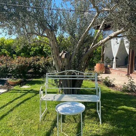 Terre Di Paestum 3* カプチオ・パエストゥム