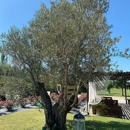 Terre Di Paestum Bed & Breakfast Capaccio