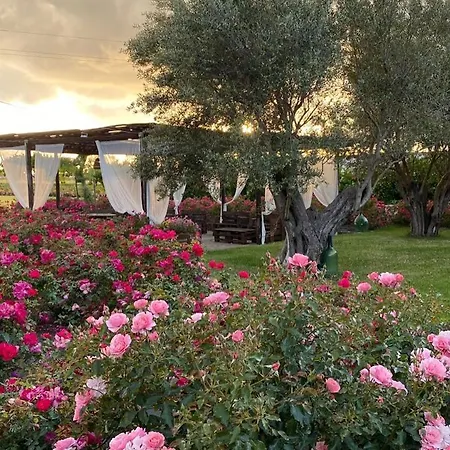 Terre Di Paestum
