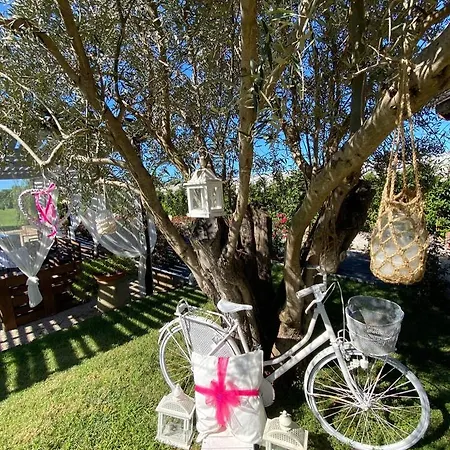 Bed & Breakfast Terre Di Paestum