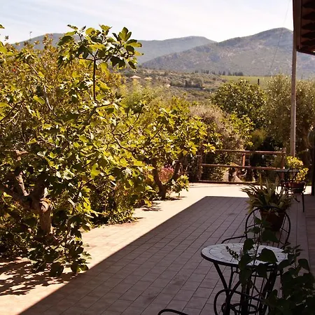 Bed & Breakfast Terre Di Paestum Capaccio