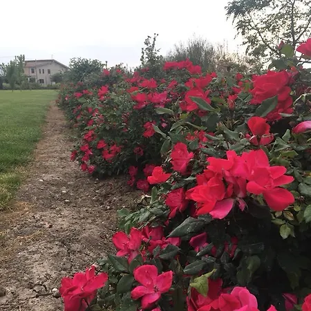 Terre Di Paestum Capaccio